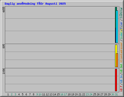 Daglig användning för Augusti 2025