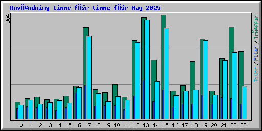 Användning timme för timme för May 2025