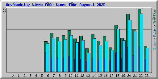 Användning timme för timme för Augusti 2025