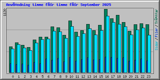 Användning timme för timme för September 2025