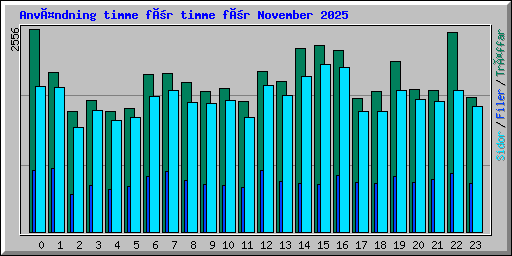 Användning timme för timme för November 2025
