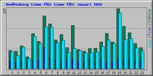 Användning timme för timme för Januari 2026