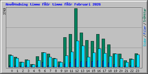 Användning timme för timme för Februari 2026